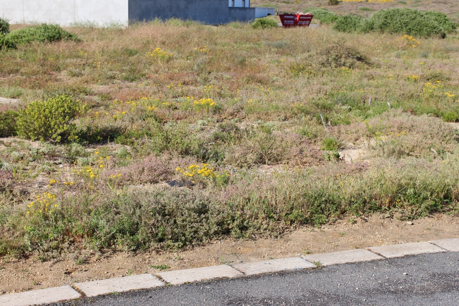 0 Bedroom Property for Sale in Brittania Beach Estate Western Cape